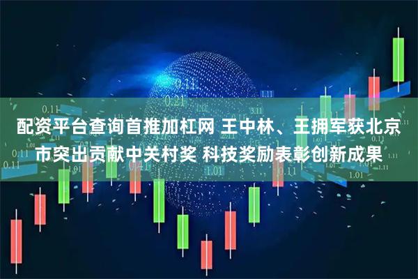 配资平台查询首推加杠网 王中林、王拥军获北京市突出贡献中关村奖 科技奖励表彰创新成果